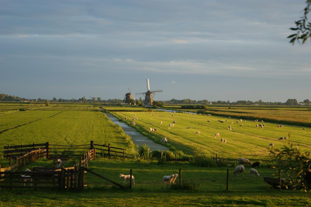 Hoeve Suydeinde Aarlanderveen Exterior foto